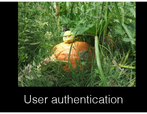 User authentication 